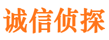 佛坪市侦探